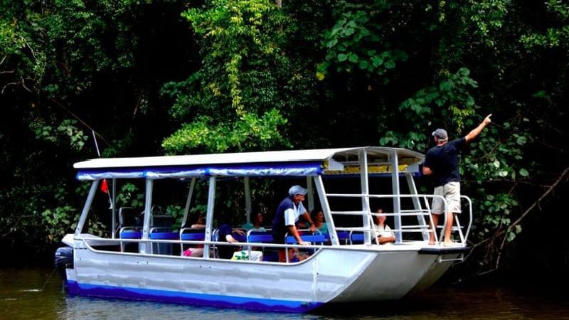 Experience a relaxing one-hour wildlife cruise along the Daintree River. See crocodiles, birds, snakes and the mangroves followed by a delicious buffet lunch!